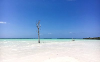 Kiteboarding in Harbour Island, Bahamas