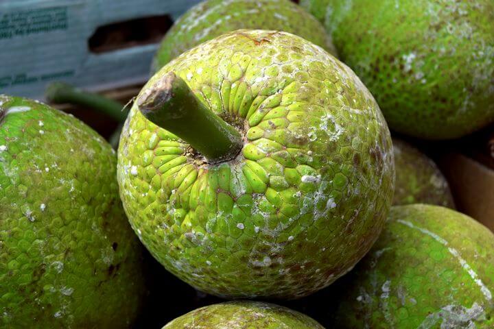 Cooking with Breadfruit